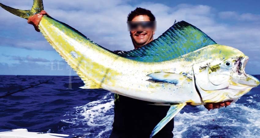 En contra el PT de la liberación del dorado a la pesca comercial