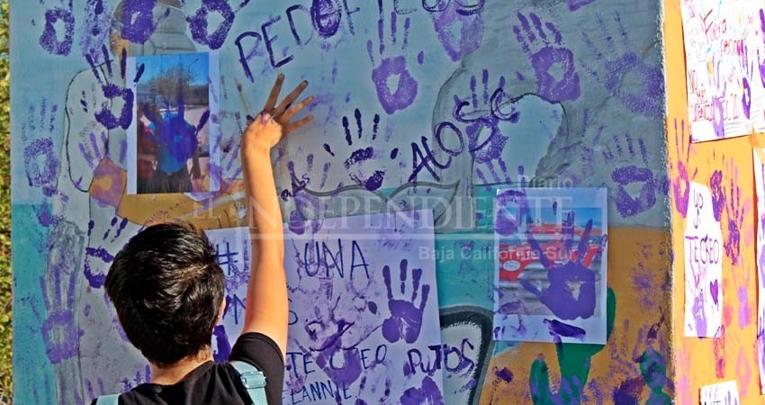 Necesario que se aplique la Ley 3 de 3 en BCS