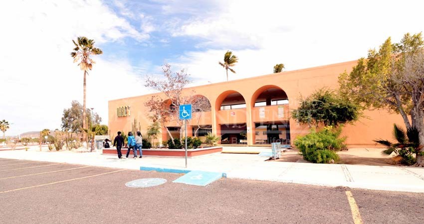 Dentro de un mes, UABCS publicará su convocatoria de ingreso a Licenciatura