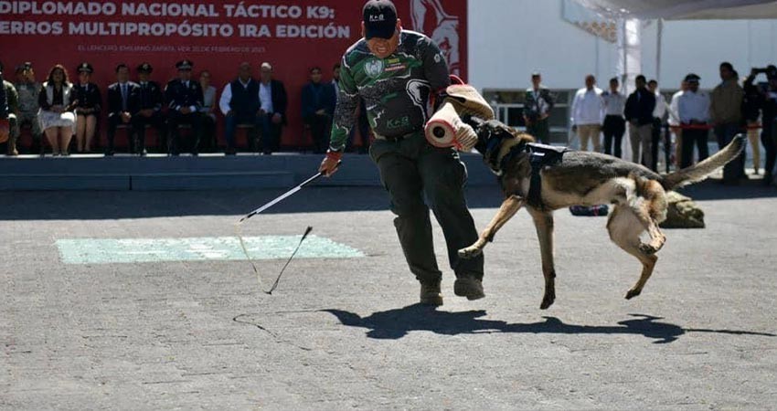 Recibe unidad k9 de SSPE capacitación táctica multipropósito en Veracruz