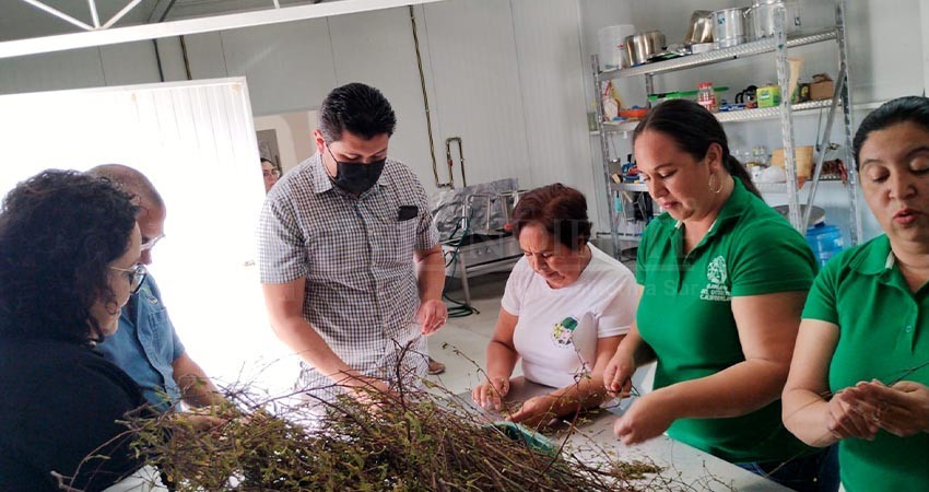 Apoya UABCS a mujeres emprendedoras del ejido Santiago