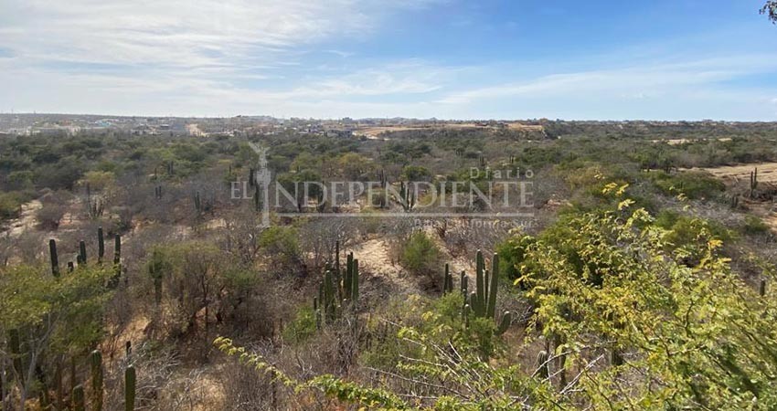 En 28 años, el programa de ordenamiento ecológico de Los Cabos no se actualizó