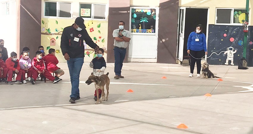 Promueve CEMAC la cultura del bienestar animal en el CENDI