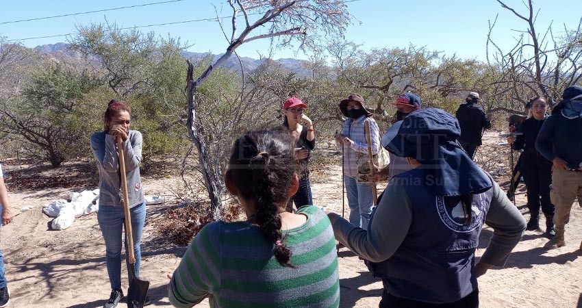 36 acciones de búsqueda se han realizado en BCS, en el primer bimestre de 2023