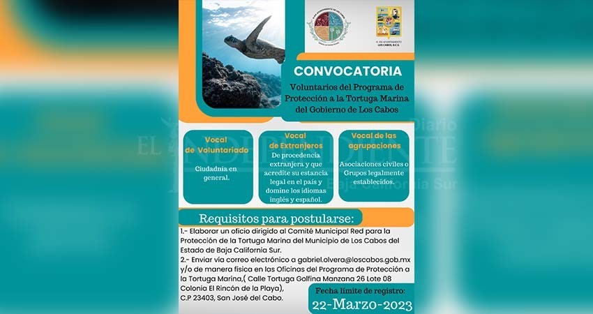 Lanzan convocatoria a través del Programa Municipal de Protección a la Tortuga Marina, para participar como voluntarios