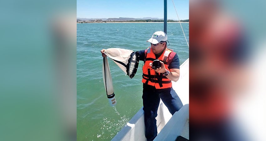 Análisis de laboratorio federal descarta concentraciones de toxinas marinas en Bahía de La Paz