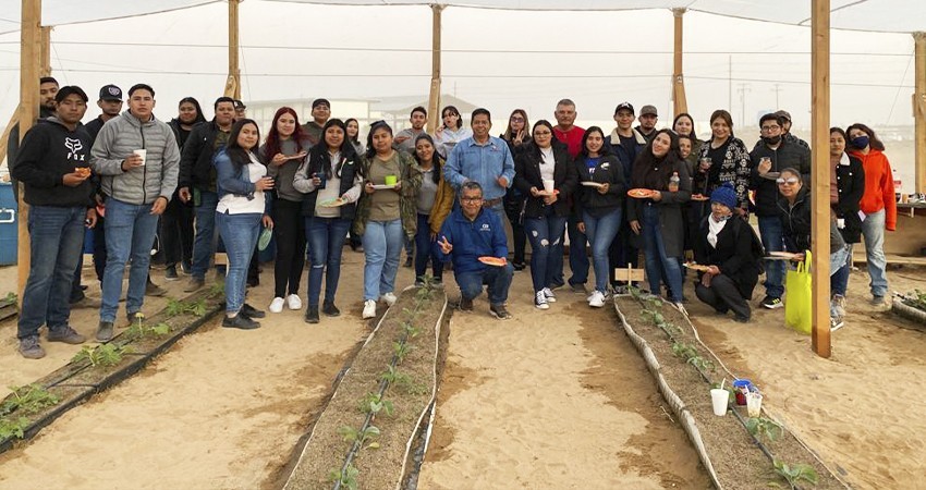 Inauguran Casa Sombra Agrícola en la UABCS Guerrero Negro