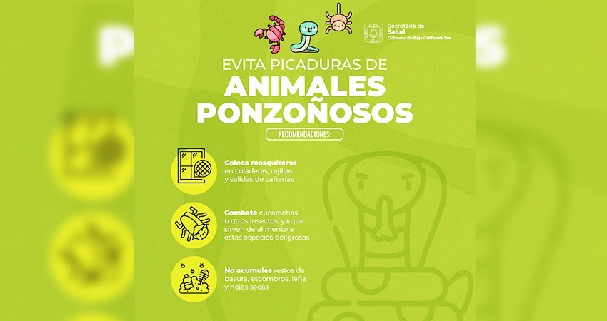 Llaman SSA a vacacionistas a prevenir accidentes por animales ponzoñosos