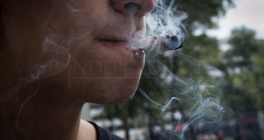 Registra BCS alumnos de sexto año de primaria adictos a las drogas: SNTE