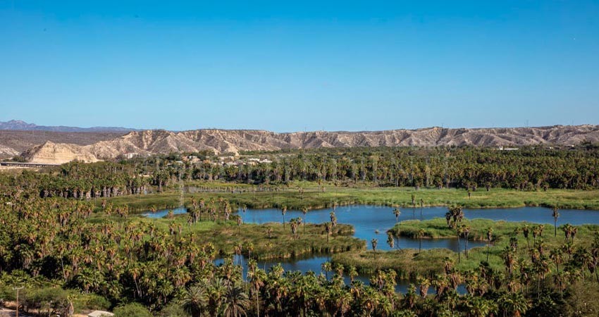 Urgente que se actualice el plan de manejo del estero josefino: Luis Armando Díaz