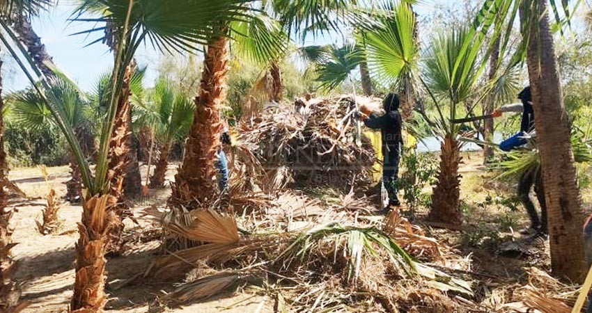 Transitan o duermen indigentes en el estero de SJC