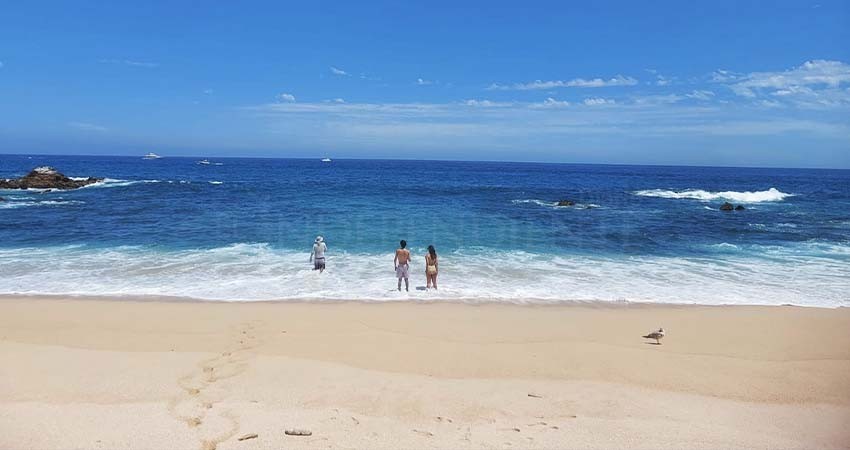 Cumple Zofemat Los Cabos con procesos de muestreo de calidad del agua y criterios de desempeño sustentable en playas