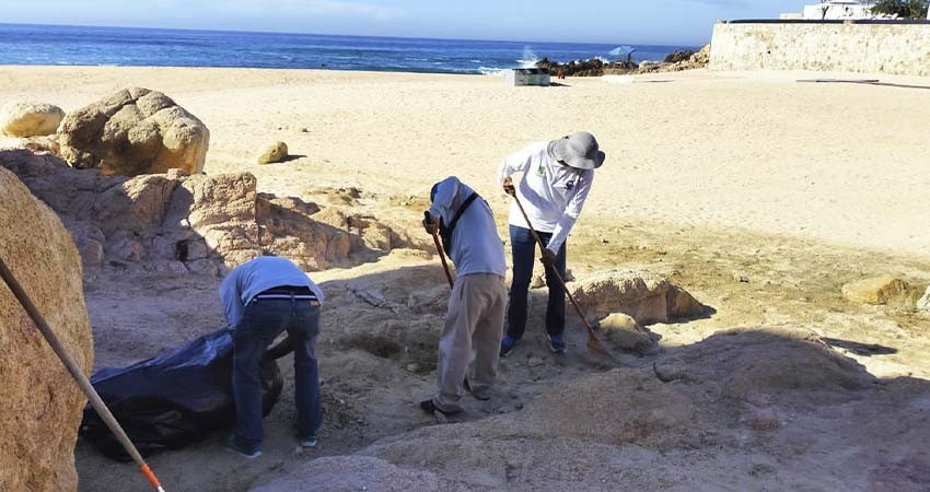 Refuerza Zofemat Los Cabos los trabajos de limpieza en zonas adyacentes a las playas