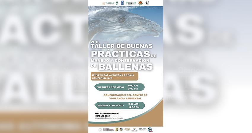 Turismo Los Cabos invita al “2do Taller de Buenas Prácticas de Manejo y Conservación de Ballenas”