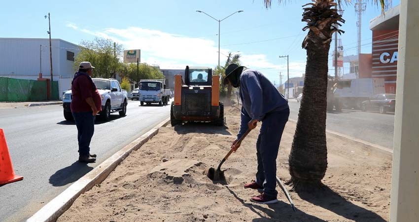 Trabajadores de Servicios Públicos prepara el bulevar Colosio para su reforestación