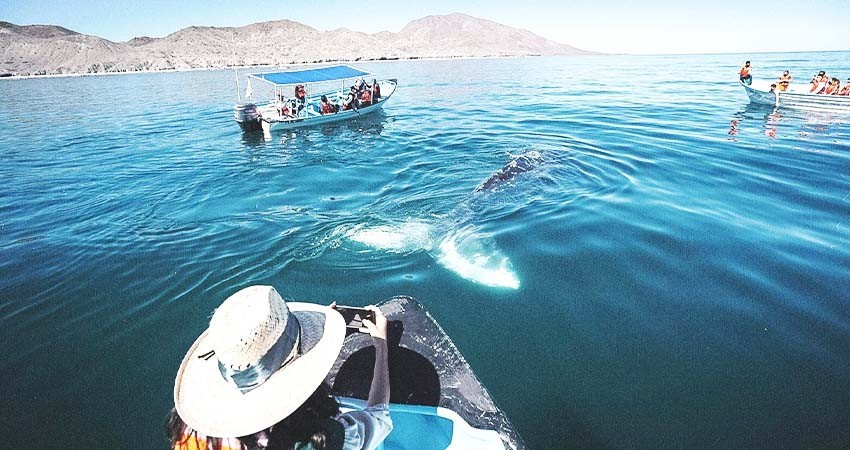 Invita Turismo Municipal a sumar esfuerzos para posicionar a La Paz como destino de aventura