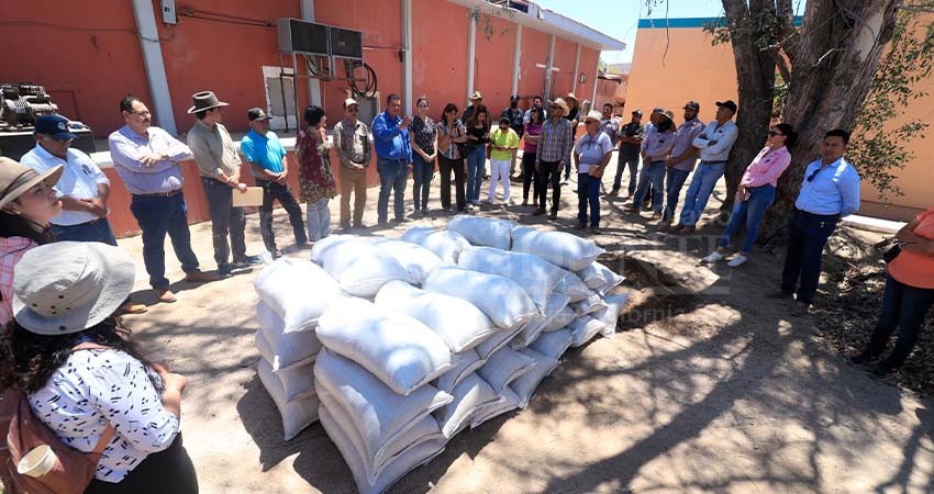 Genera UABCS más de dos toneladas de lombricomposta