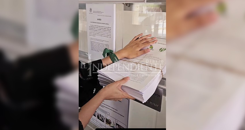 Con más de 100 firmas, solicitan a IMSS e ISSSTE aborto seguro en BCS