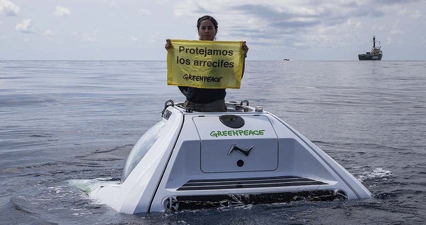 Urge Greenpeace al país proteger arrecifes descubiertos en el Golfo de México