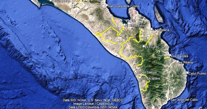 Convenian Ayuntamiento de La Paz y CONAFOR programa de saneamiento forestal