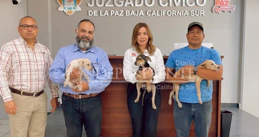 Brinda CEMAC pláticas en escuelas de La Paz sobre el maltrato animal