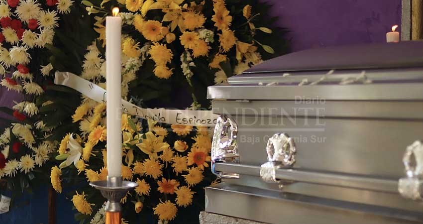 Registra BCS su primer deceso por Rickettsia de este 2023