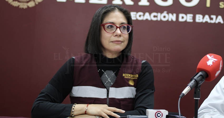 Veda electoral no afectará los programas sociales del gobierno federal