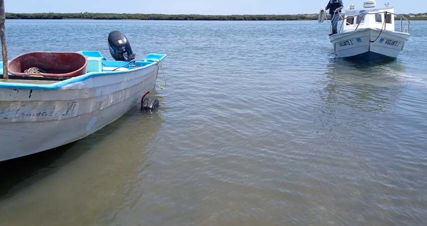 Retienen en Comondú una embarcación que realizaba pesca de camarón en veda