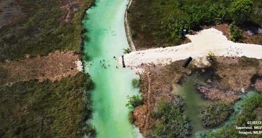 Ejército suspende obra del Tren Maya tras afectación al Estero de Chac