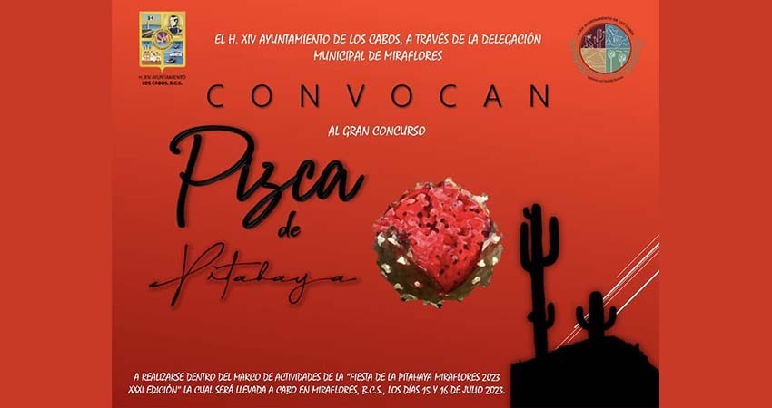 Todo listo para el tradicional concurso de pizca de Pitahaya en Miraflores