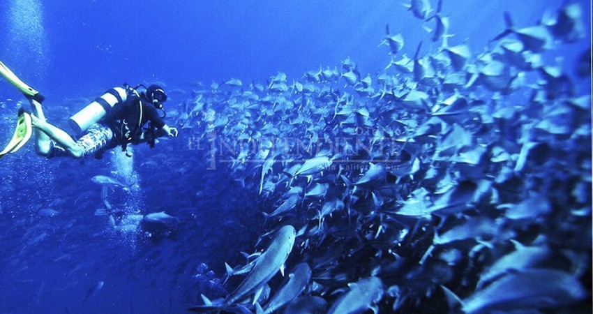 "La sustentabilidad no es moda, es requisito"; AFEET ofrece Foro por un Turismo con Responsabilidad