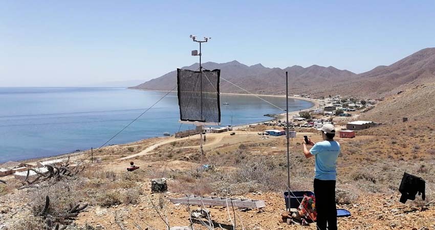 Atrapanieblas: una solución a la escasez de agua en el desierto costero