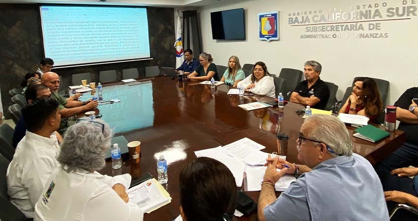 Avanzan los trabajos en pro de leyes que protejan a los animales domésticos