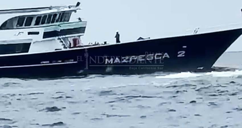 Detuvieron a tripulantes del barco atunero que fue detectado pescado en Cabo Pulmo