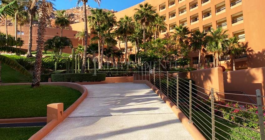 Reporta AHLC ocupación hotelera al 70% durante julio en Los Cabos