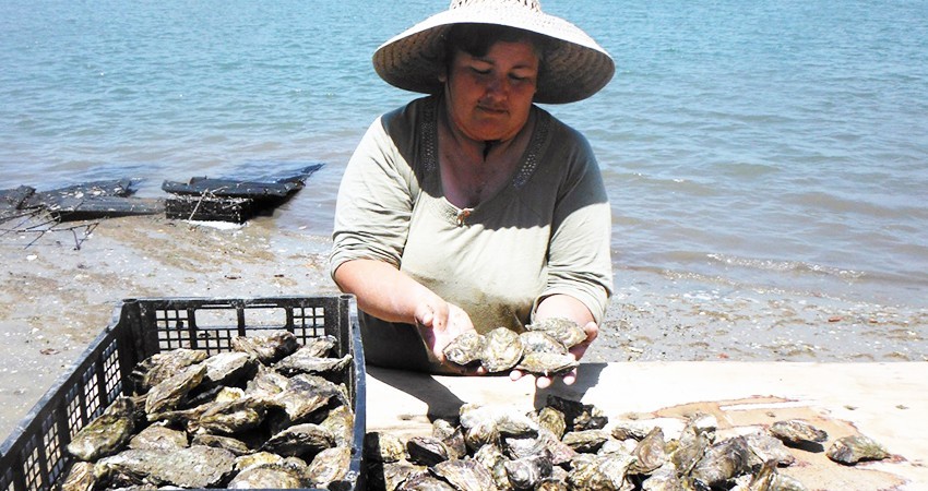 El 49.2% de la población en BCS son mujeres