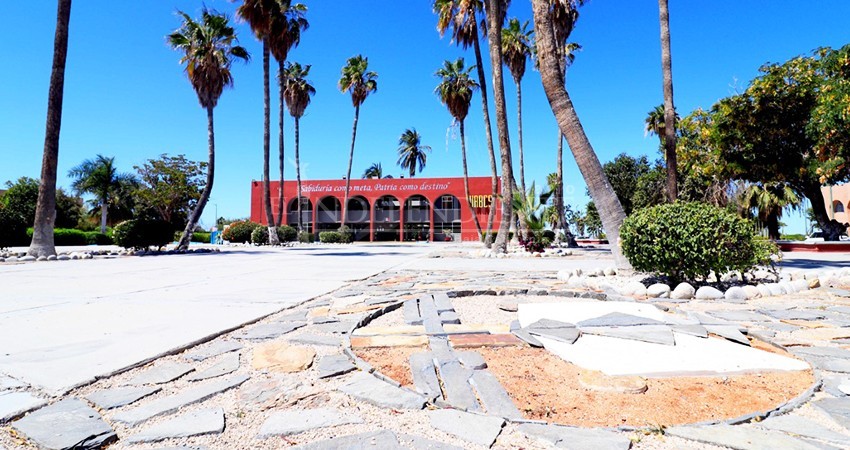 Reestructurará UABCS programas de servicio social y prácticas profesionales