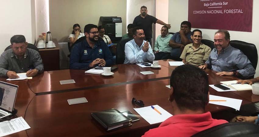 Se une gobierno de Los Cabos a las Brigadas de Saneamiento Forestal 2023