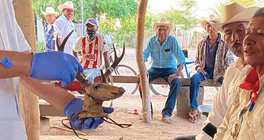 México repatria 24 piezas arqueológicas de Suecia que pertenecen al pueblo indígena yaqui