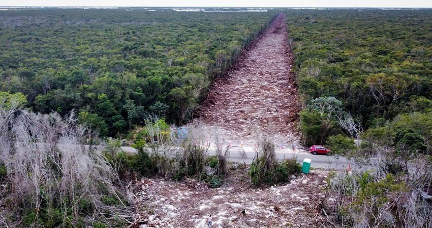 México comete ecocidio y etnocidio con la construcción del Tren Maya, acusa informe