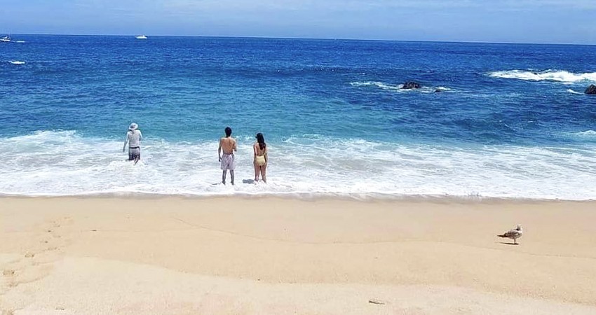 Playas de BCS en óptimas condiciones para uso recreativo