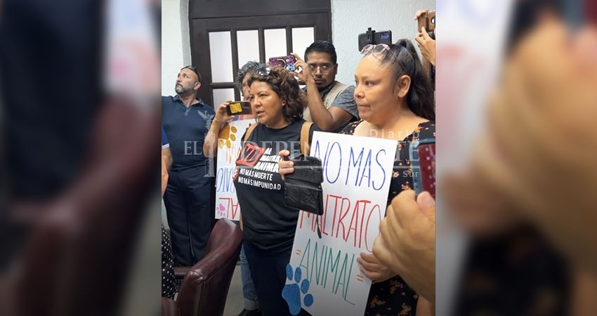 Señalan deficiencias municipales en atención a denuncias por maltrato animal