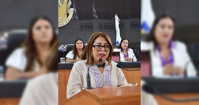 Se busca establecer en Ley que las mujeres reciban concesiones de transporte: Teresita de Jesús Valentín