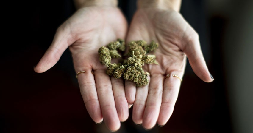 Nueva York, la ciudad que más marihuana consume en el mundo