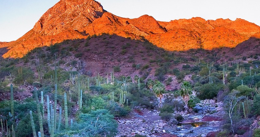 Gobernador: Si los ejidatarios no quieren, Sierra La Giganta y Guadalupe no se declararán ANP
