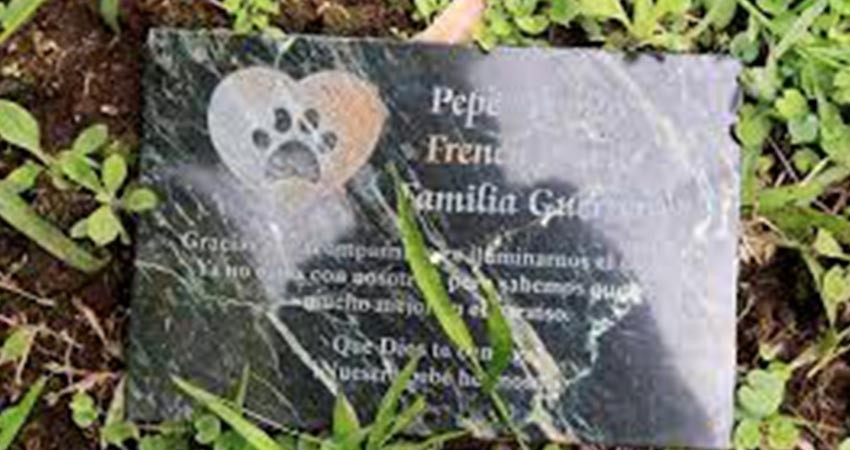 Enterrar mascotas en el jardín o en el patio es peligroso para las personas y el medio ambiente