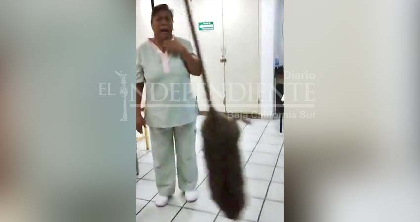 Tras despido de enfermera del ISSSTE que evidenció una rata en hospital, la institución dice que solo la suspendió