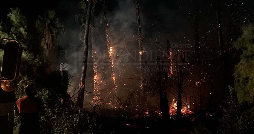 Preocupa que altas temperaturas provoquen incendios en el Estero SJC