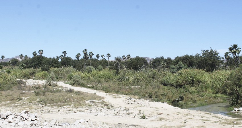 Aplicarán sanciones importantes para quienes cometan daños ecológicos en el Estero josefino