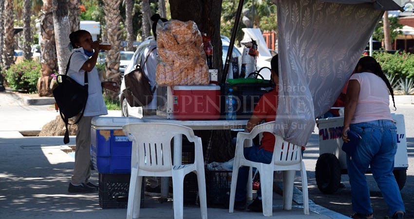 CONEVAL: BCS, la entidad con menos porcentaje de "pobreza laboral"